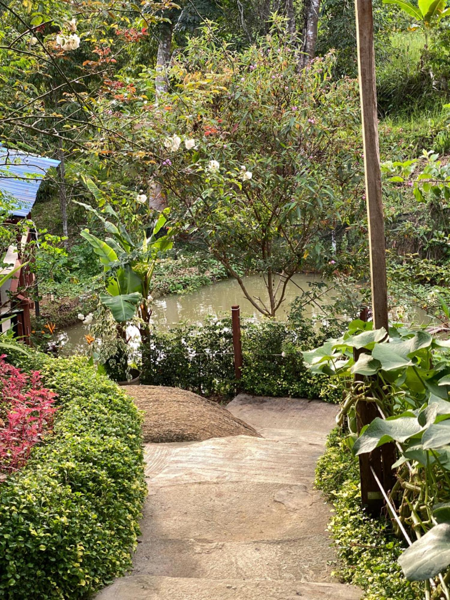 Da Family Mini Garden Hotel Ranau Kültér fotó