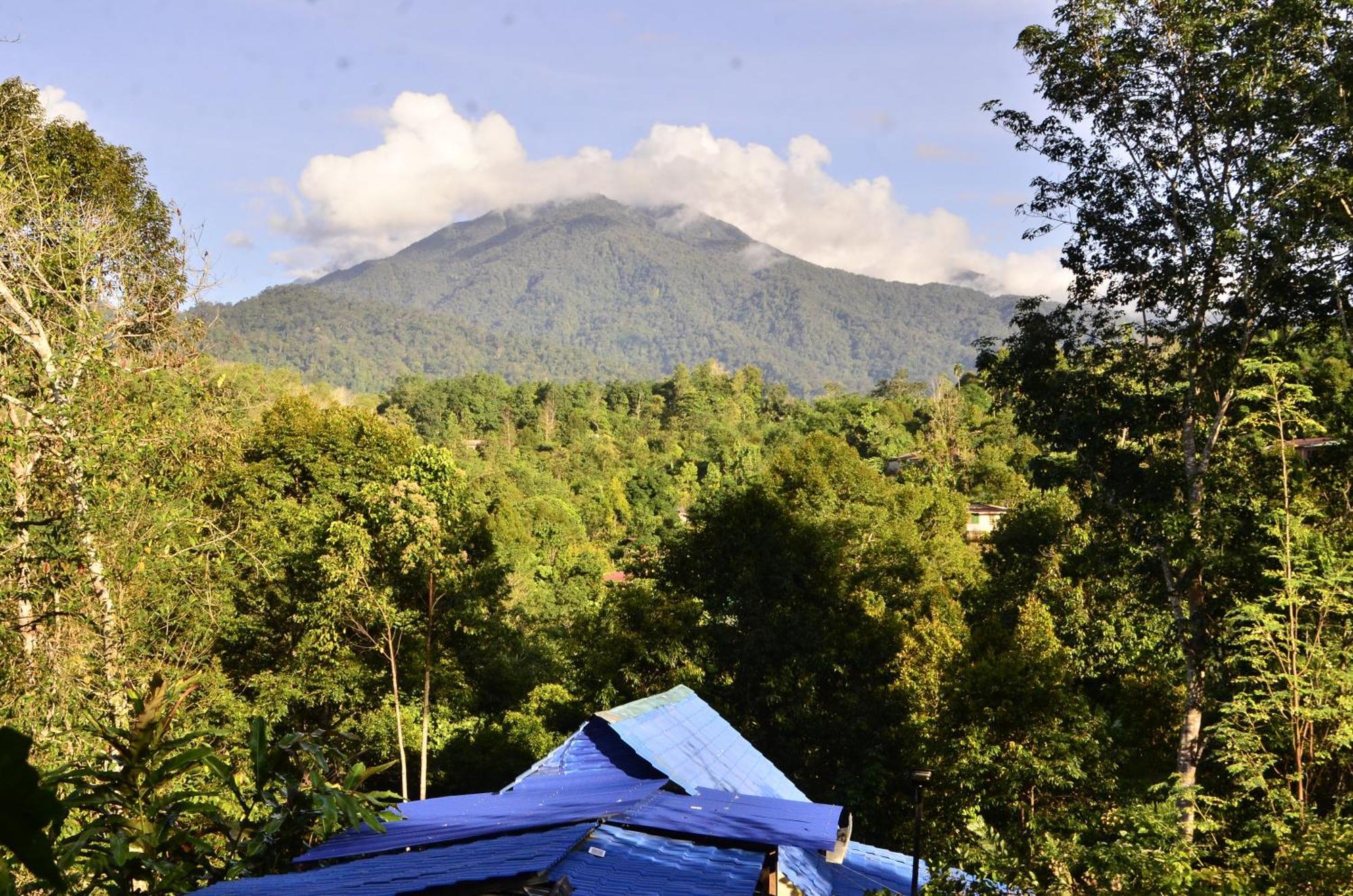 Da Family Mini Garden Hotel Ranau Kültér fotó